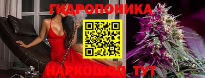 эйфоретик Камышлов