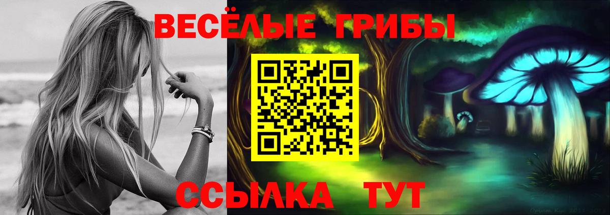 Галлюциногенные грибы Cubensis Кыштым